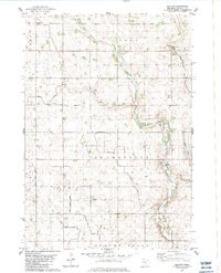 BECHYN, MN HISTORICAL MAP GEOPDF 7.5X7.5