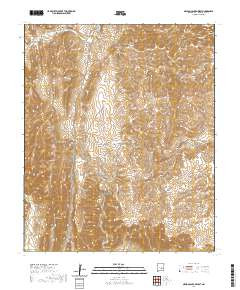 NELSON CANYON WEST, NM