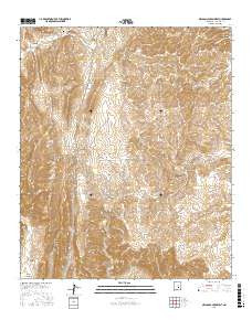 NELSON CANYON WEST, NM