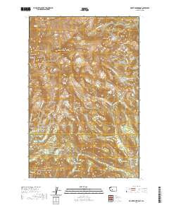 MOUNT RAINIER EAST, WA