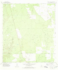 ALBERCAS RANCH, TX HISTORICAL MAP GEOPDF
