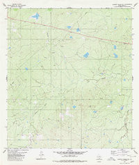 ALAMITO CREEK NE, TX