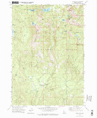 PADDY FLAT, ID HISTORICAL MAP GEOPDF 7.5