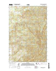 MOUNT KIT CARSON, WA