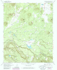 HORSESHOE CIENEGA, AZ HISTORICAL MAP GEO