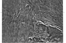 CONTROLLED MOSAIC PAVONIS MONS MARS