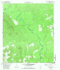 DENSON SPRINGS, TX HISTORICAL MAP GEOPDF
