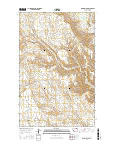 DEAD HORSE COULEE, MT