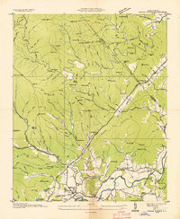 PISGAH FOREST, NC HISTORICAL MAP GEOPDF