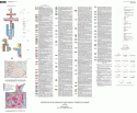 GEOLOGIC MAP OF CHEWELAH, WA, WA