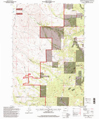 OROFINO MOUNTAIN, MT HISTORICAL MAP GEOP