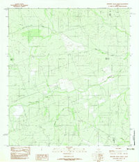 MESTENO CREEK NORTH, TX HISTORICAL MAP G
