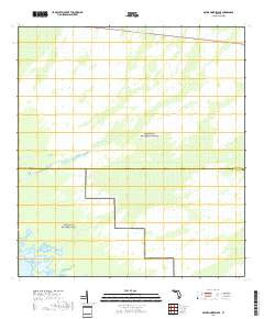 GATOR HOOK SWAMP, FL