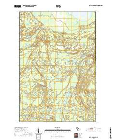 BETSY LAKE SOUTH, MI