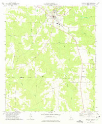 ELLAVILLE SOUTH, GA HISTORICAL MAP GEOPD