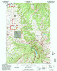 BLUE MINER LAKE, WY HISTORICAL MAP GEOPD