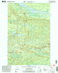 BULLDOG LAKE, MI HISTORICAL MAP GEOPDF 7