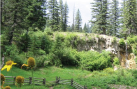 LINCOLN NF - SMOKEY BEAR & SACRAMENTO