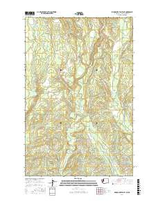 WYNOOCHEE VALLEY NE, WA