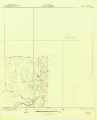 WHITSETT, TX HISTORICAL MAP GEOPDF 15X15