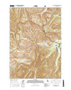 BULL TROUT POINT, ID