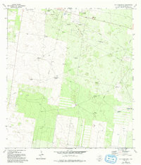 MCALLEN RANCH, TX HISTORICAL MAP GEOPDF