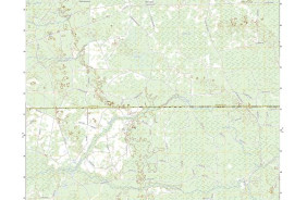 MALLORY SWAMP SW, FL