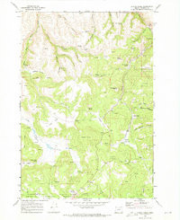 CHAPIN CREEK, OR HISTORICAL MAP GEOPDF 7
