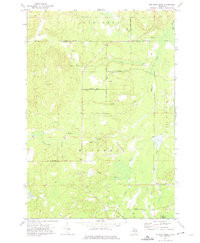 MCGINN CREEK, MI HISTORICAL MAP GEOPDF 7