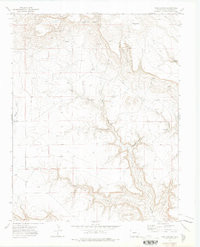 PINE CANYON, CO HISTORICAL MAP GEOPDF 7.