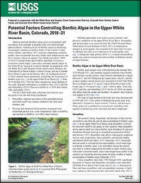 BENTHIC ALGAE IN UPPER WHITE RIVER BASIN