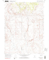 BADGER MOUNTAIN SE, NV