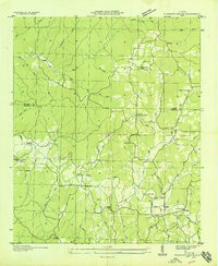 PLEASANT GROVE, AL HISTORICAL MAP GEOPDF
