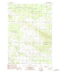 DINCA, MI HISTORICAL MAP GEOPDF 7.5X7.5