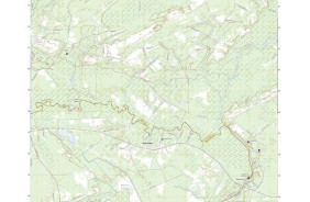 MAPLE CANE SWAMP, SC