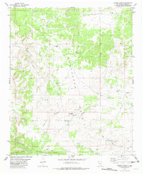 COOPER CANYON, NM HISTORICAL MAP GEOPDF