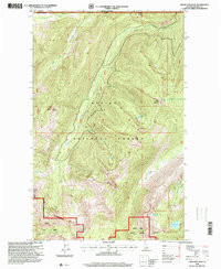 GRASS MOUNTAIN, ID HISTORICAL MAP GEOPDF