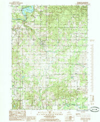 STANWOOD, MI HISTORICAL MAP GEOPDF 7.5X7