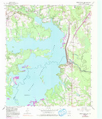 WRIGHT PATMAN LAKE, TX HISTORICAL MAP GE