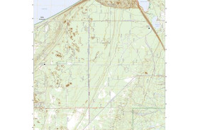 DOLLAR SETTLEMENT, MI