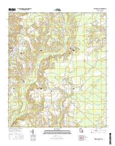 REIDSVILLE EAST, GA TNM GEOSPATIAL PDF 7
