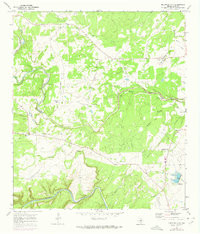 MOUNTAIN CITY, TX HISTORICAL MAP GEOPDF