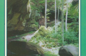 WAYNE NF - SOUTHEASTERN OHIO, OH
