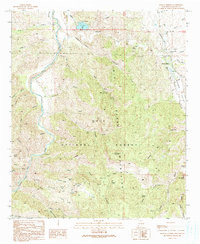 MANGAS SPRINGS, NM HISTORICAL MAP GEOPDF