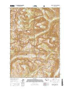 PINNACLE MOUNTAIN, MT