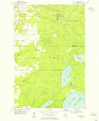 RICE LAKE, MI HISTORICAL MAP GEOPDF 7.5X