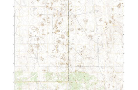 CAMALEON DRAW EAST, NM