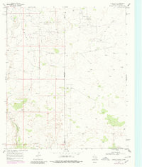 EUNICE SE, TX-NM HISTORICAL MAP GEOPDF 7