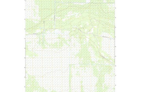 PINE ISLAND LOOKOUT TOWER, MN