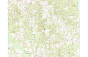 NEW SUMMERFIELD, TX